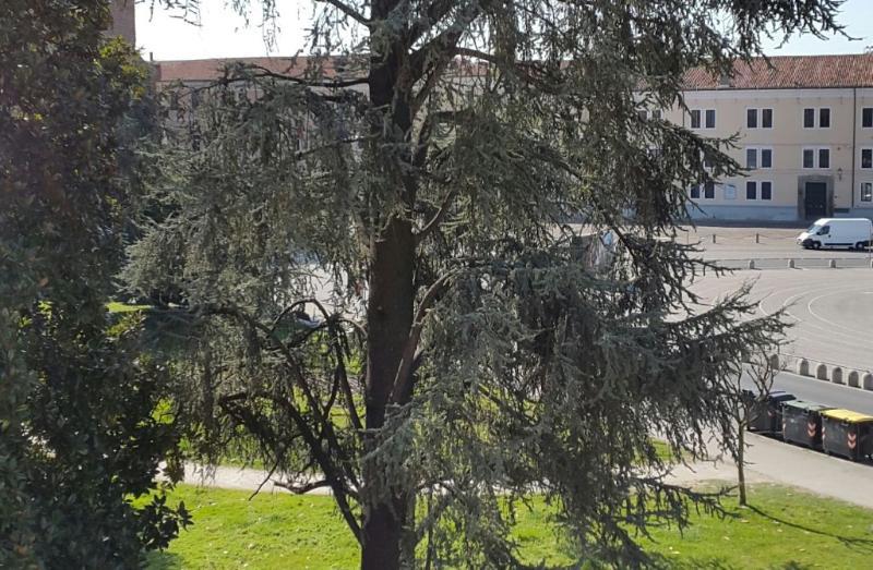 Hotel Al Prato Padova Bagian luar foto