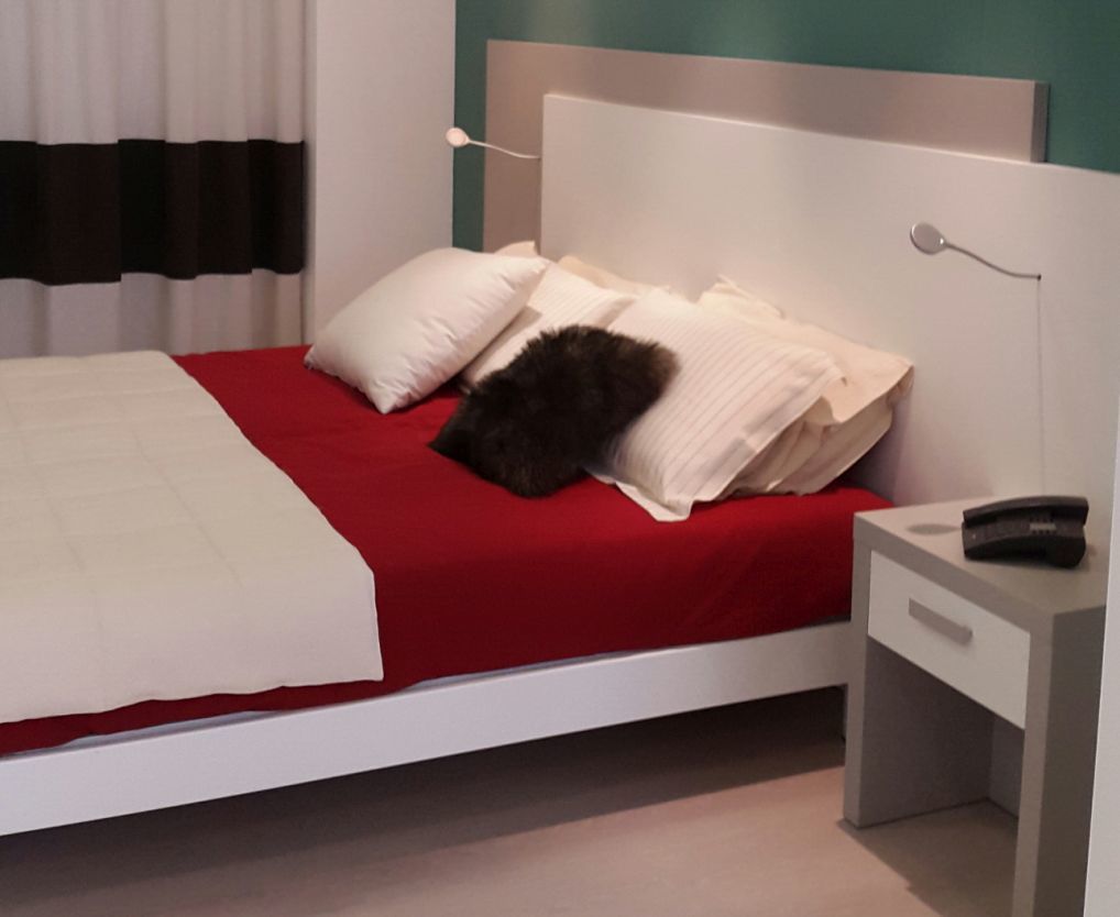 Hotel Al Prato Padova Bagian luar foto